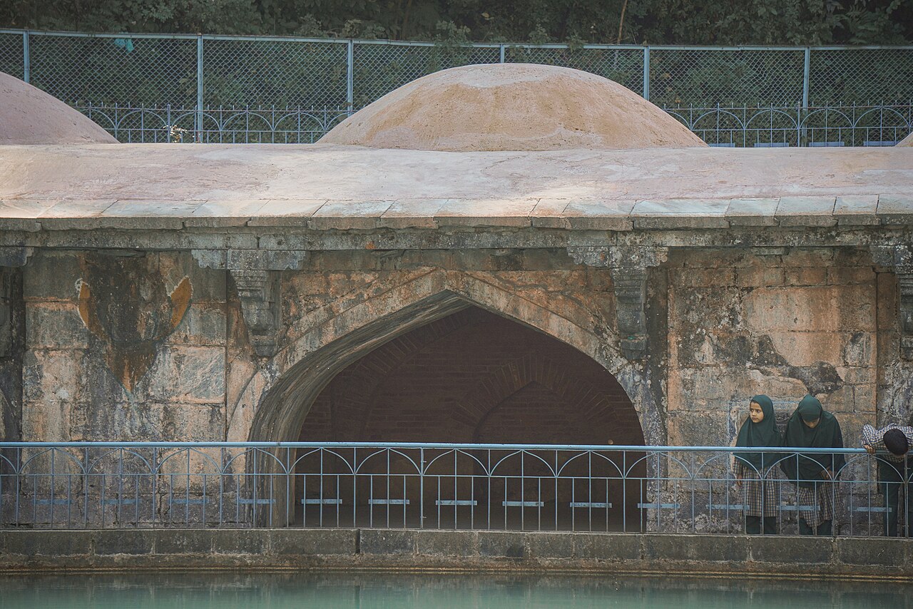 Kokernag & Verinag
